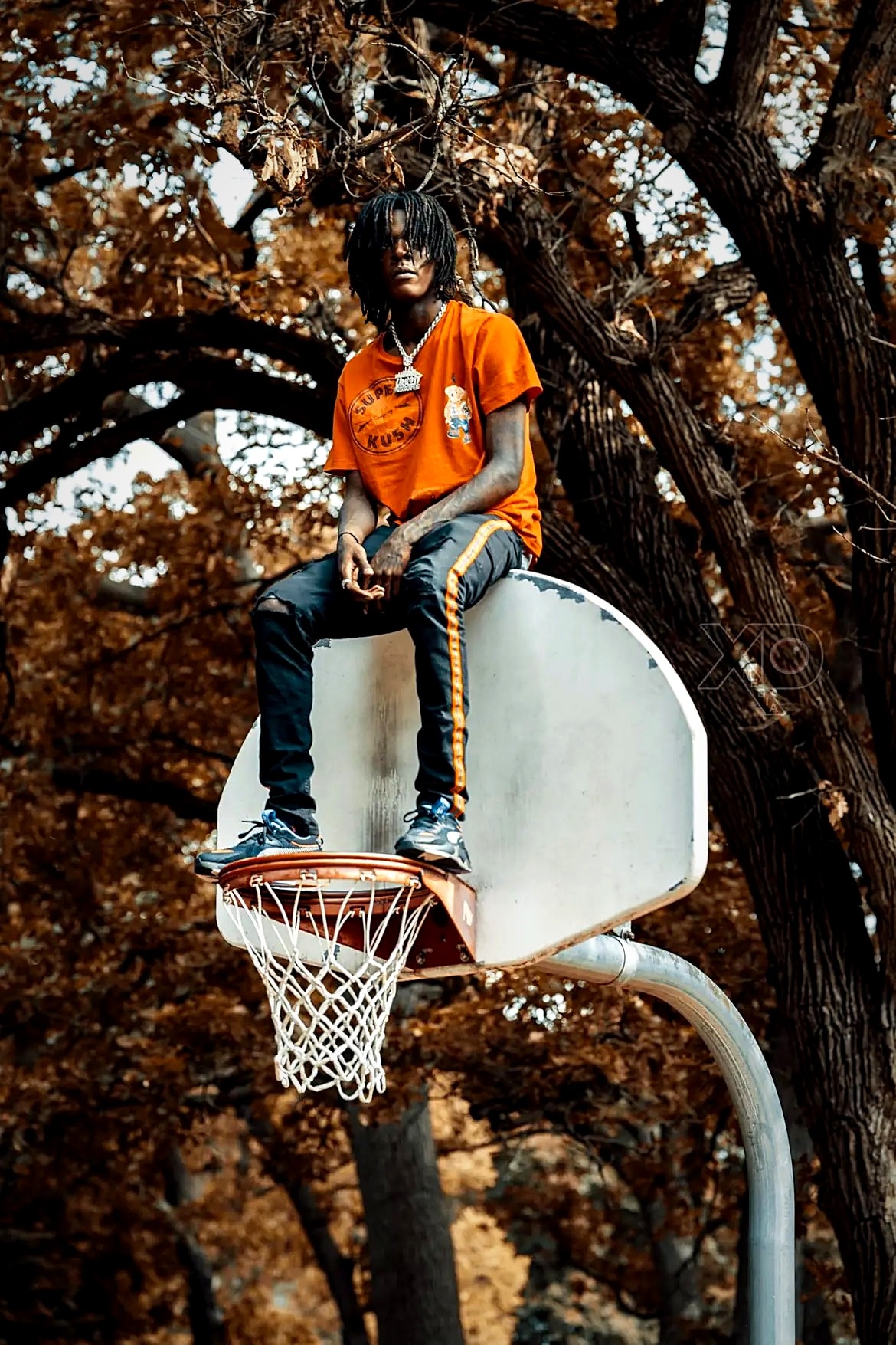 Swavo ADTMG sitting on basketball hoop autumn trees
