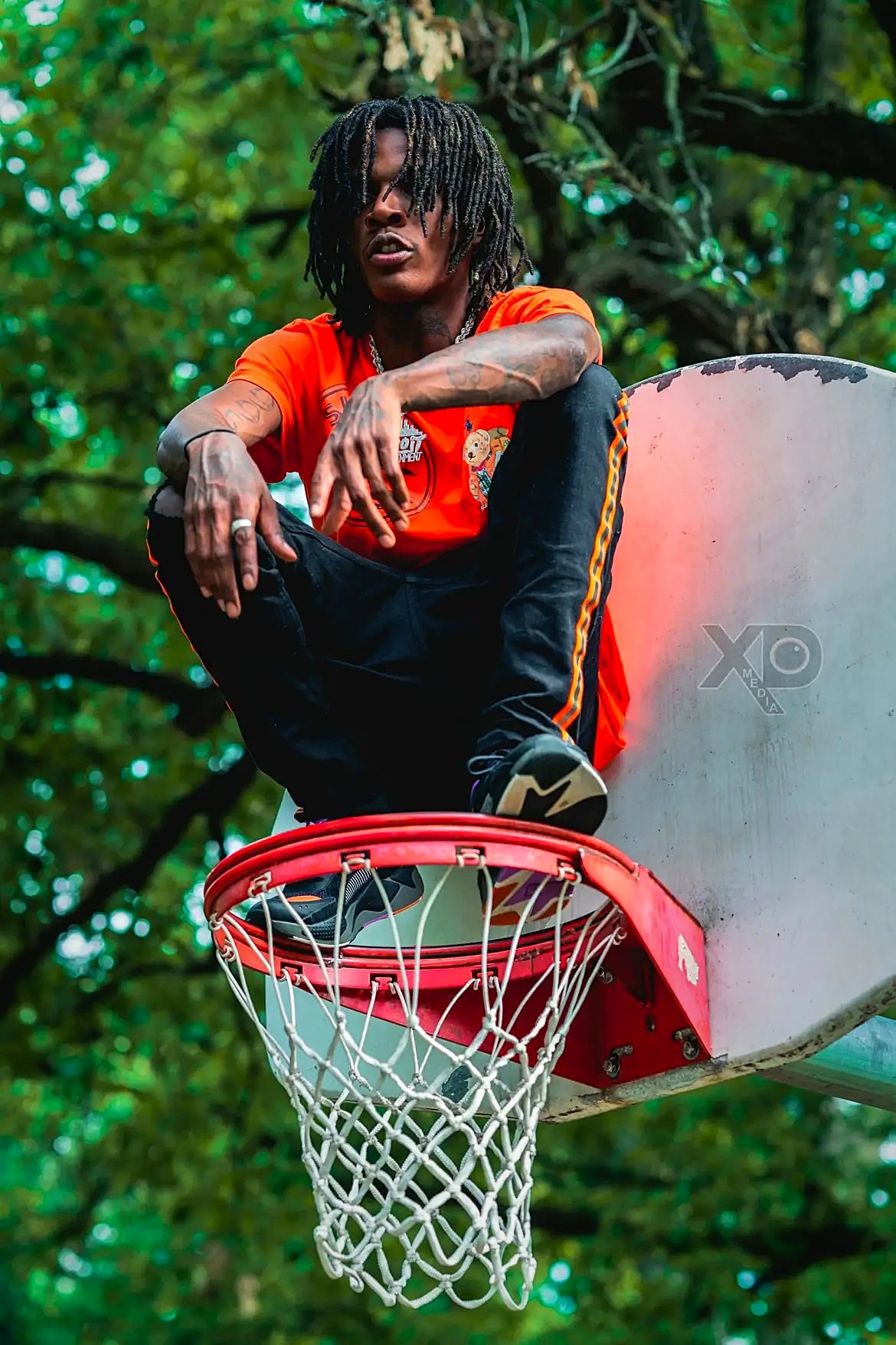 Swavo ADTMG sitting on basketball hoop green foliage